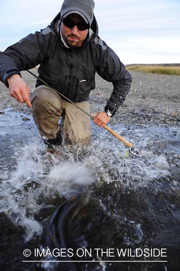 Flyfisherman with sea-run brown trout.