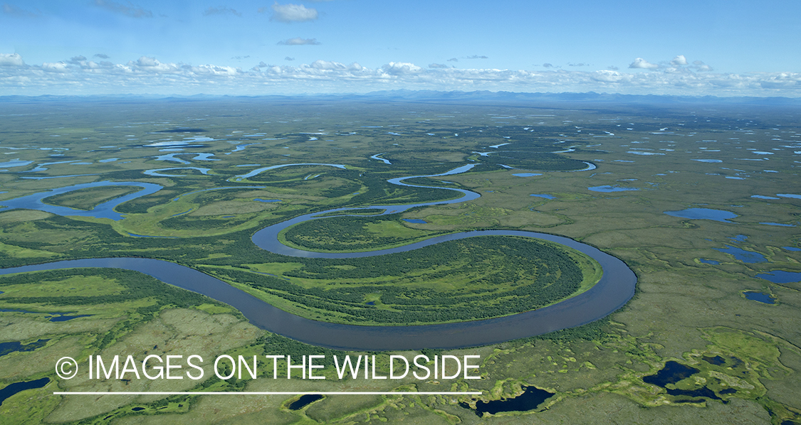 Aerial view of Bristol Bay. 