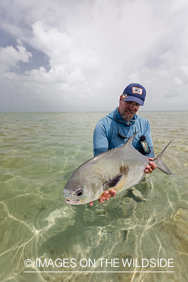 Flyfisherman releasing Permit.