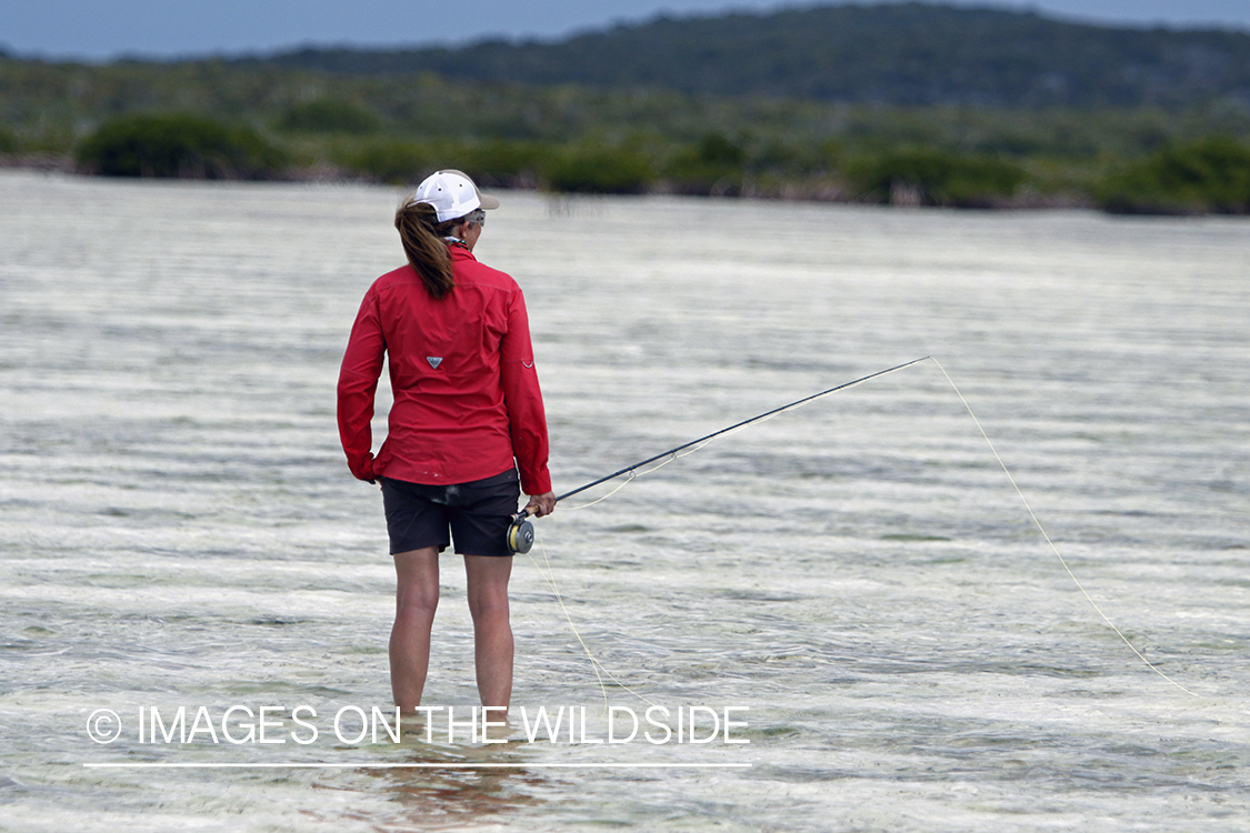 Saltwater flyfishing woman looking for fish in flats.