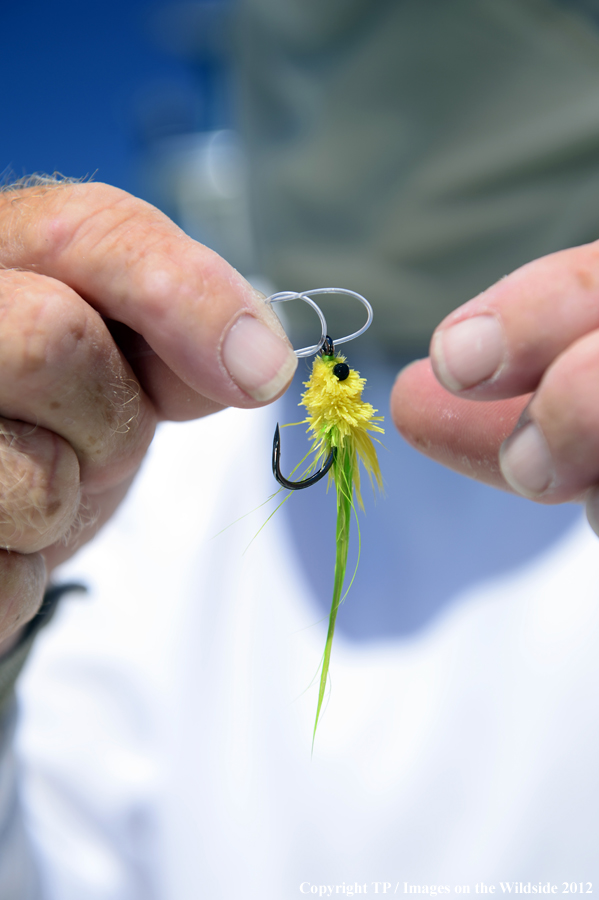 Flyfisherman with fly. 