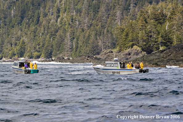 Fishermen deepsea fishing.  (Alaska/Canada)