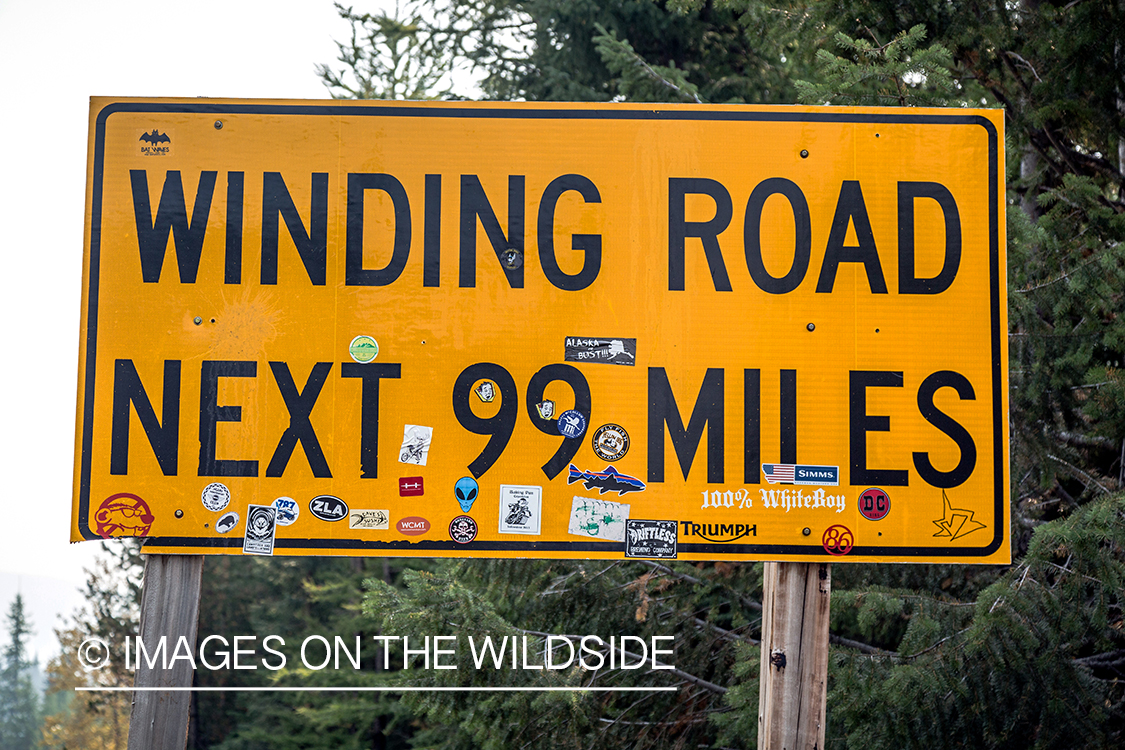 Winding road sign.