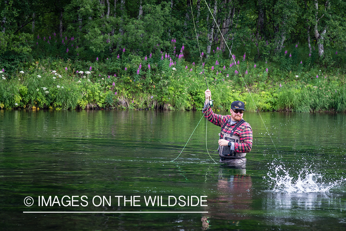 Flyfisherman fighting fish on the Sedanka river in Kamchatka Peninsula, Russia. 