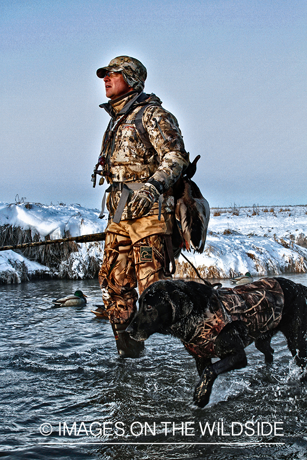 Waterfowl hunter and dog with decoys.