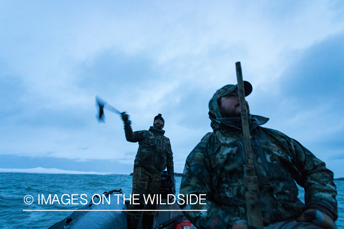 King Eider and Long-tailed duck hunting in Alaska, hunters on raft.