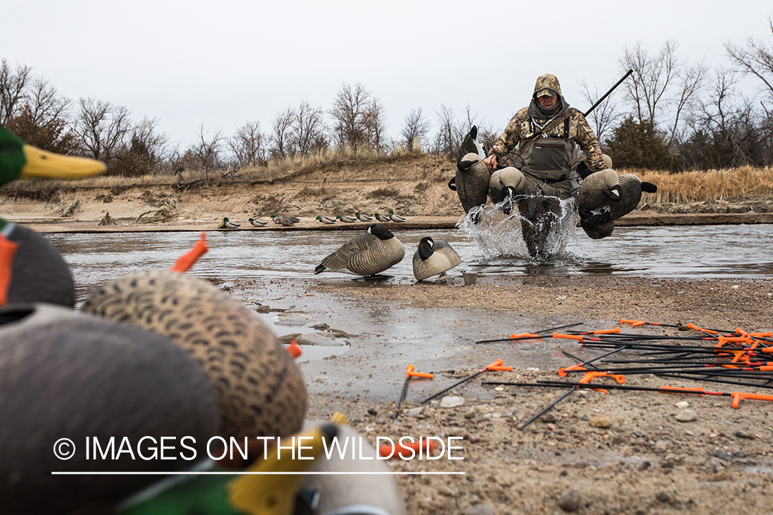 Waterfowl hunting