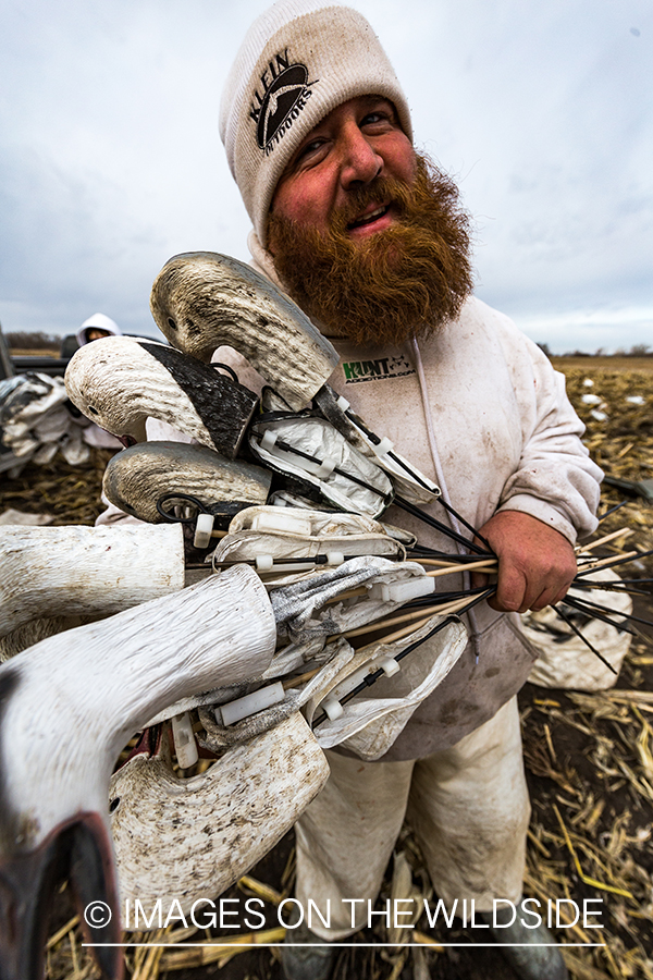 Hunter packing up after day of goose hunting.
