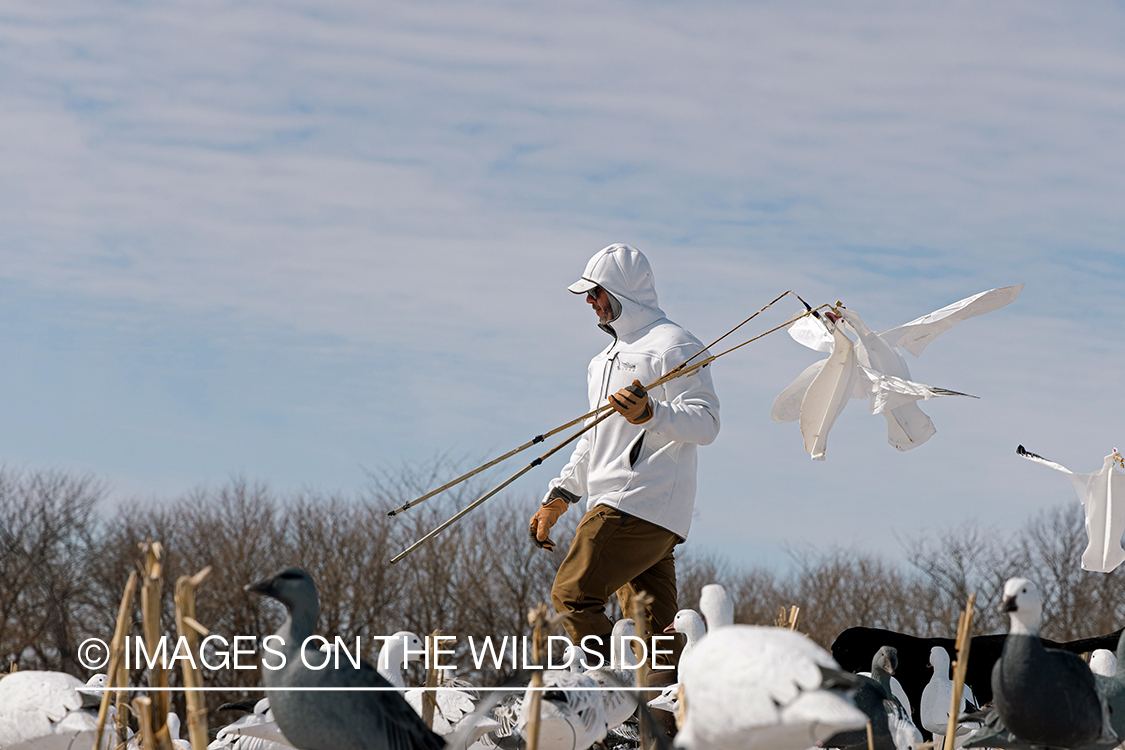 Hunters setting decoys.