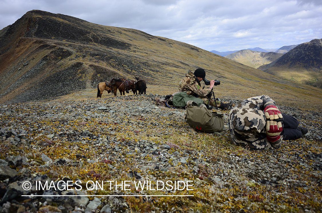 Stone sheep and Mountain goat hunting.