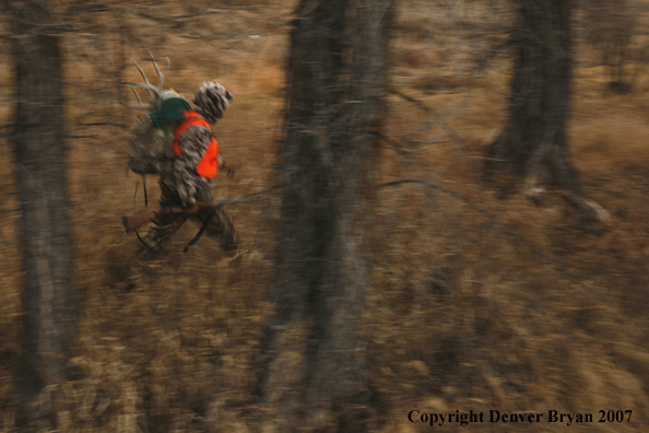 Mule deer hunter in field.