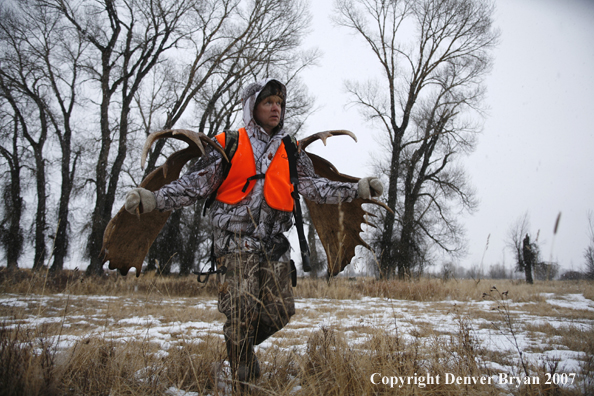 Moose hunter in field