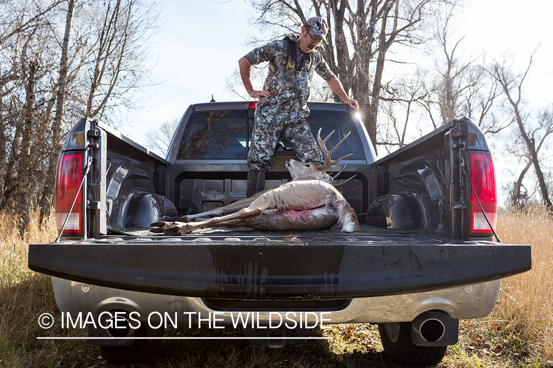 Exhausted bow hunter in truck with white-tailed deer.