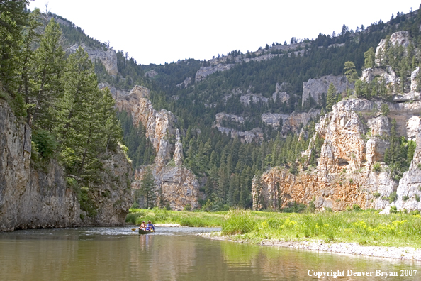 Flyfisherman on Smith River.