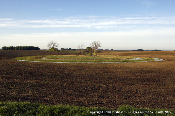 Wetlands near crop fields