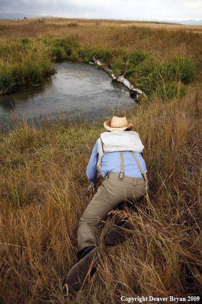 Flyfisherman sneaking up on pool