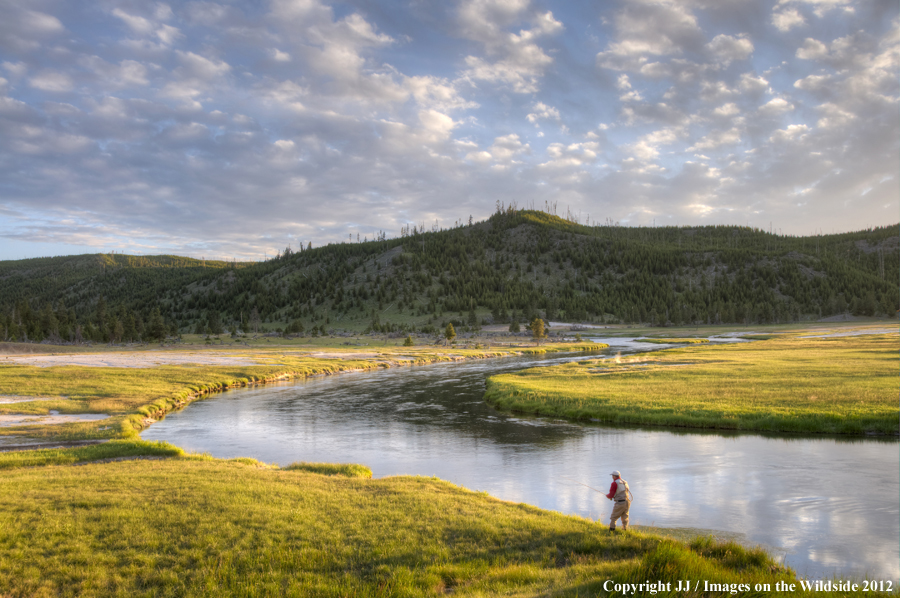 Flyfisherman on the Firehole River, Yellowstone National Park. 