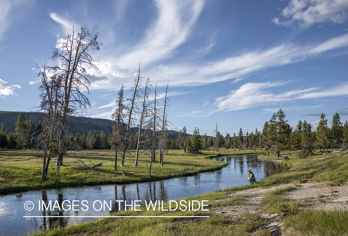 Flyfishing, Upper Firehole River, Yellowstone National Park.