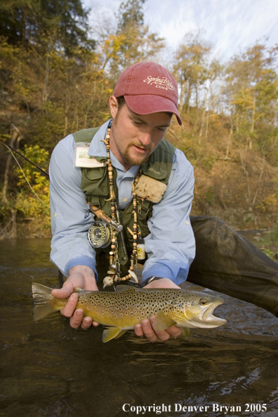 Close-up of nice brown trout.