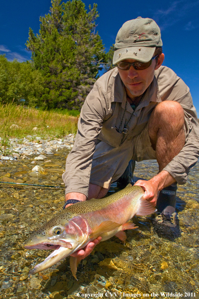 Flyfisherman with Rainbow trout in New Zealand. 