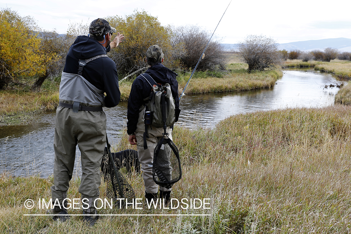 Flyfishermen in field.