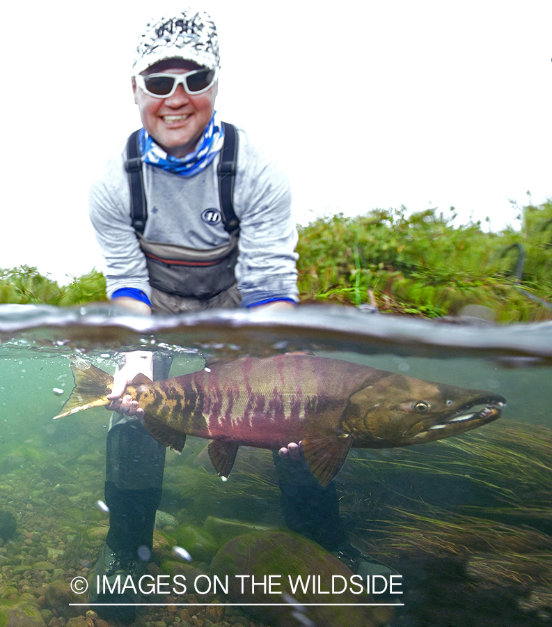 Fisherman with Chum Salmon. 