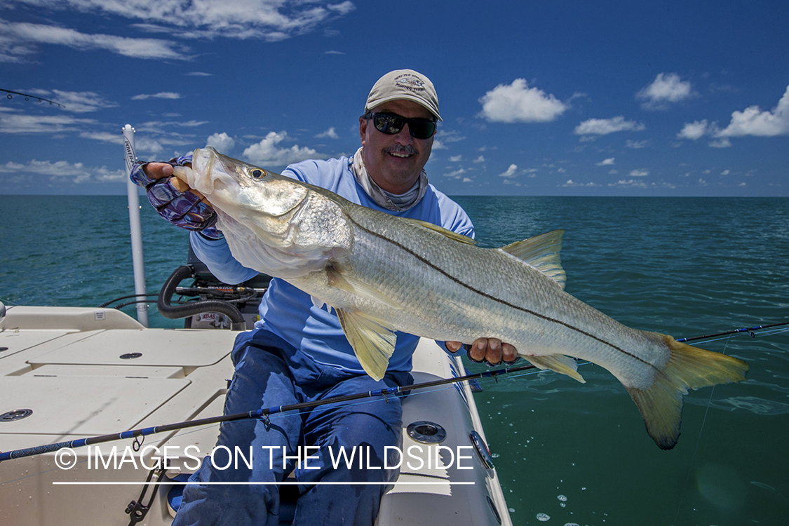 Flyfisherman with Snook.