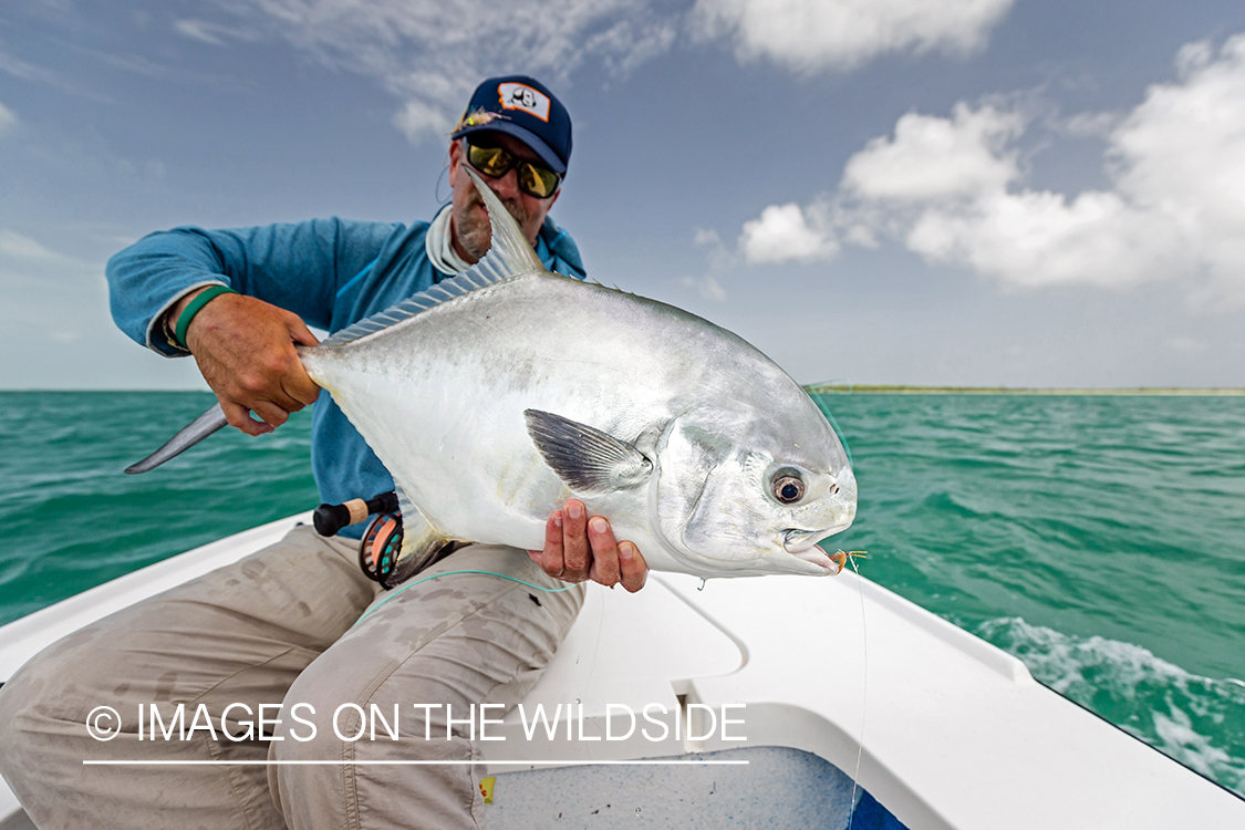 Flyfisherman releasing Permit.