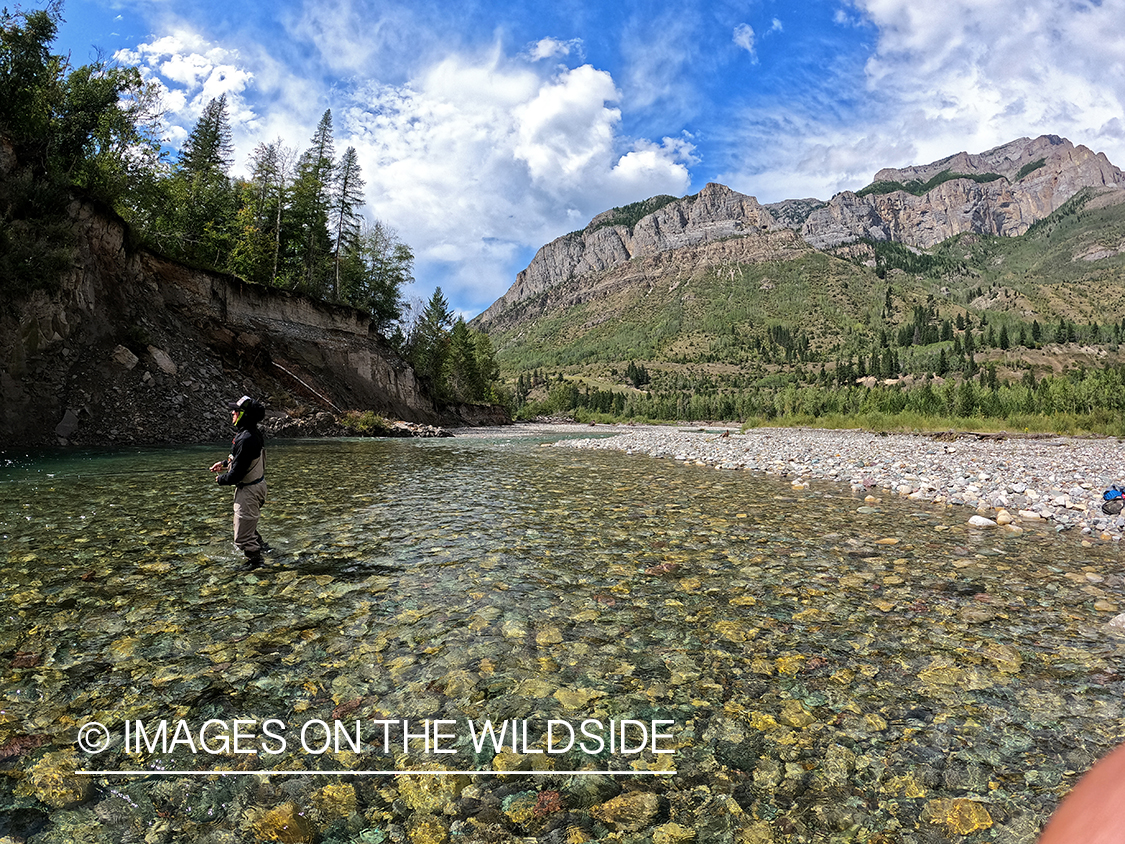 Flyfisherman fishing in Rockies.