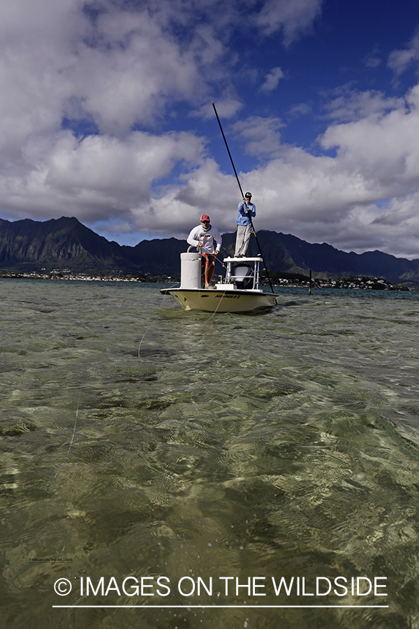 Saltwater flyfishermen fishing on flats boat, in Hawaii.