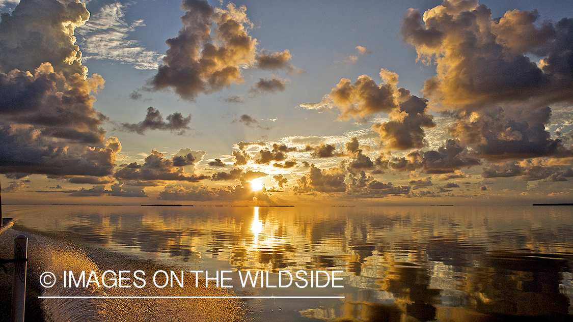 Flyfishing at dawn/sunset.