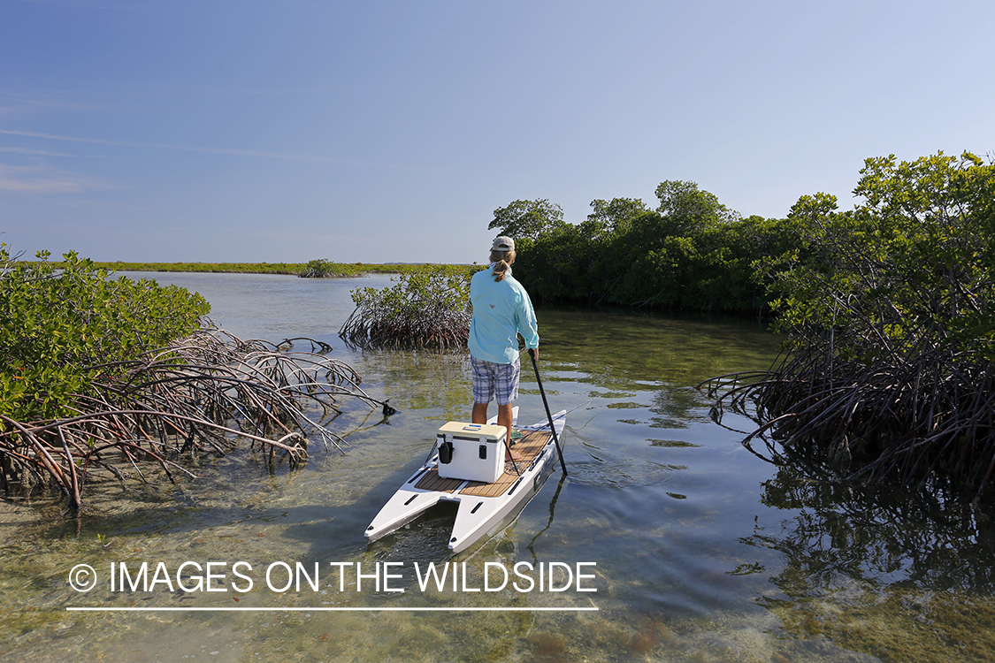 Saltwater flyfisherman on stand up paddle boards.