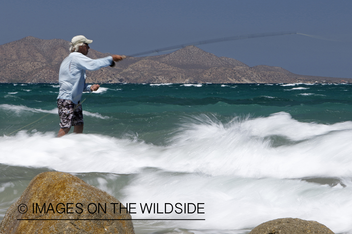 Flyfisherman fishing for roosterfish on beach.