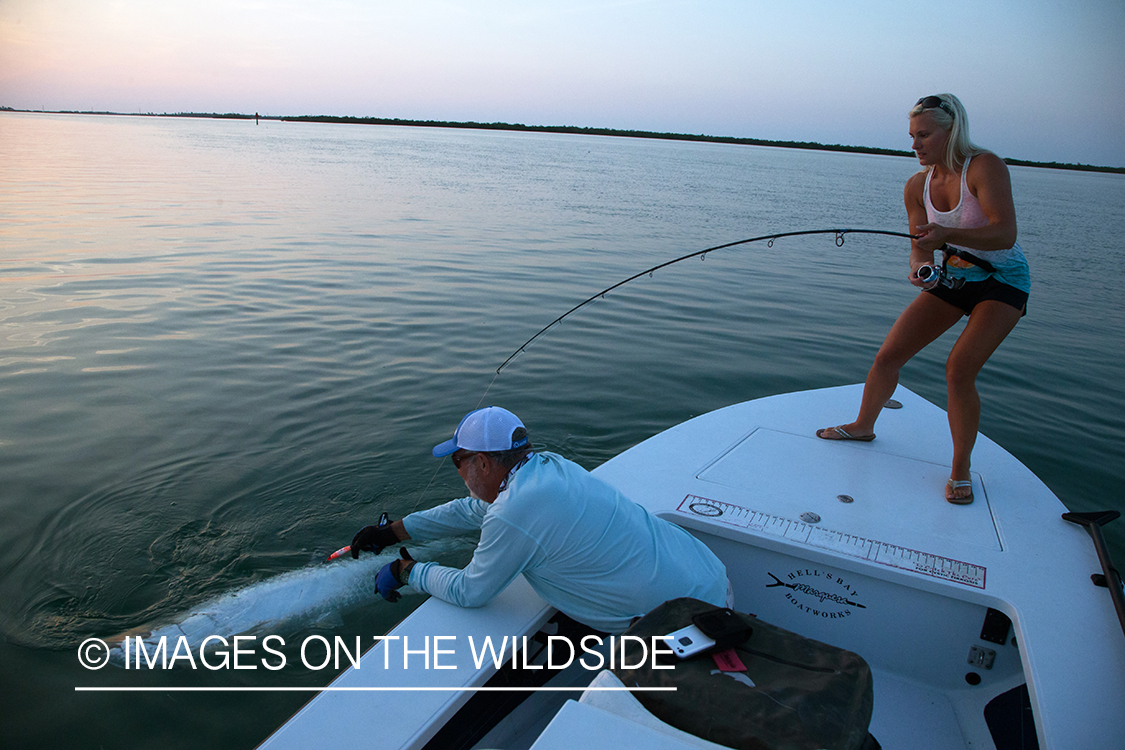 Saltwater fly fisherwoman with tarpon on line.