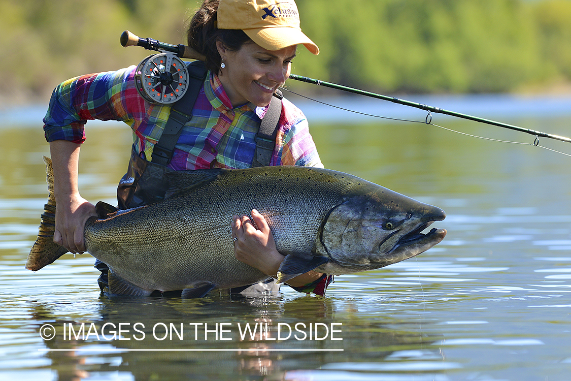 Flyfishing woman with king salmon.