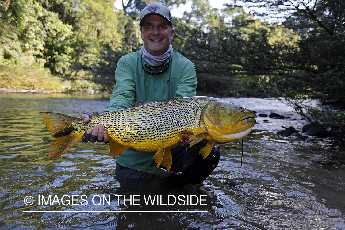 Flyfisherman with Dorado.