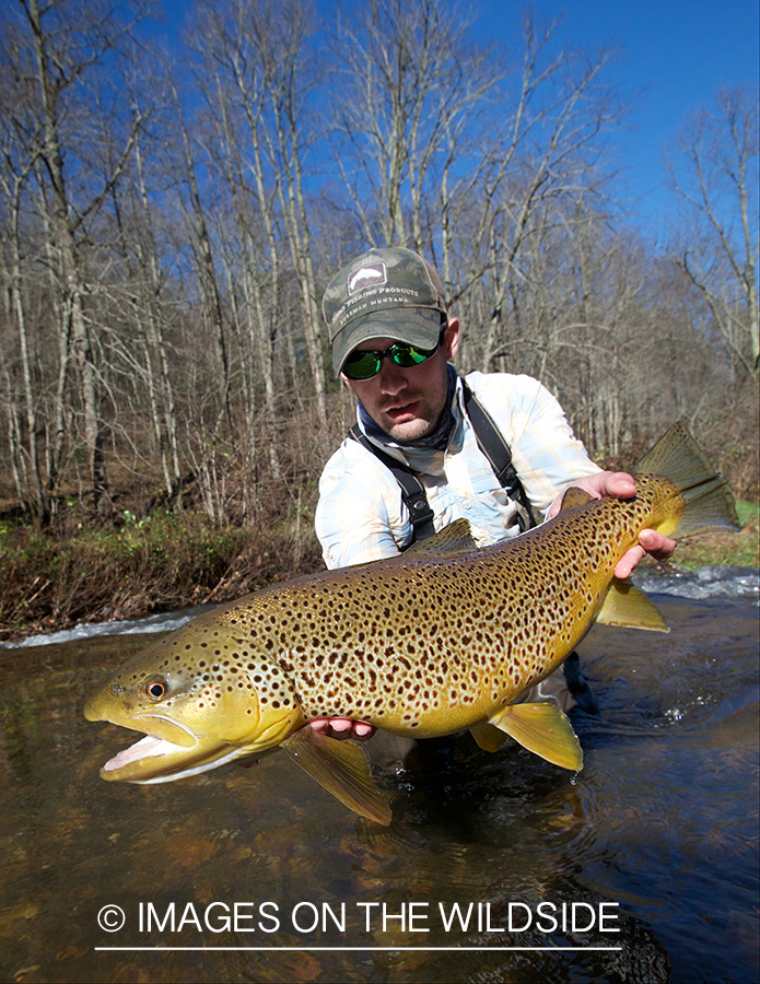 Flyfisherman with brown trout.