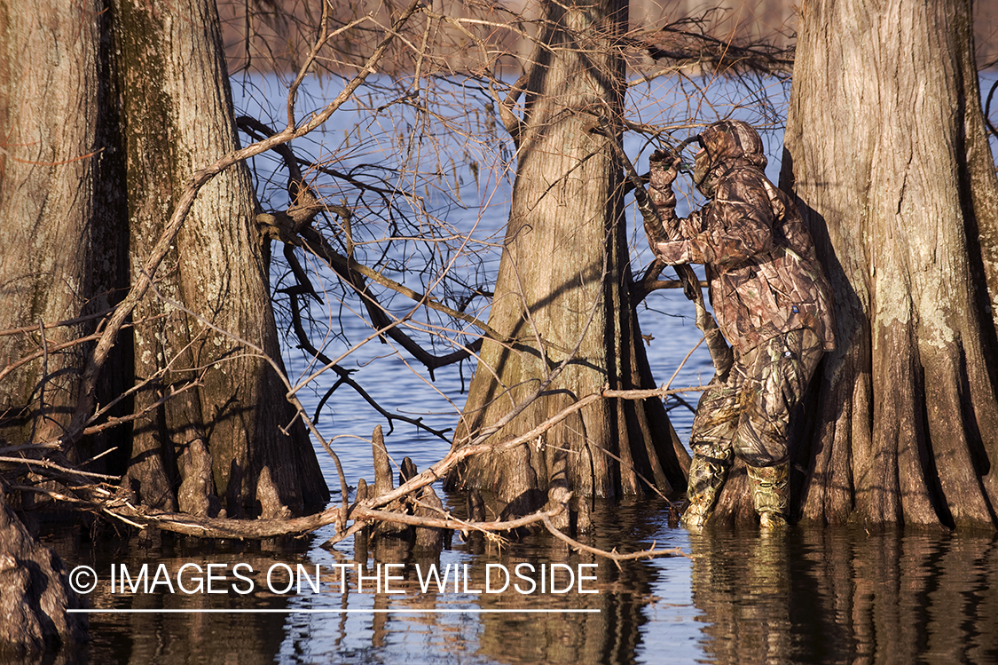 Waterfowl hunter waterfowl calling in wetlands.