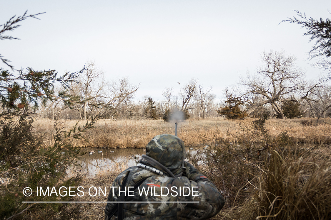 Waterfowl hunting