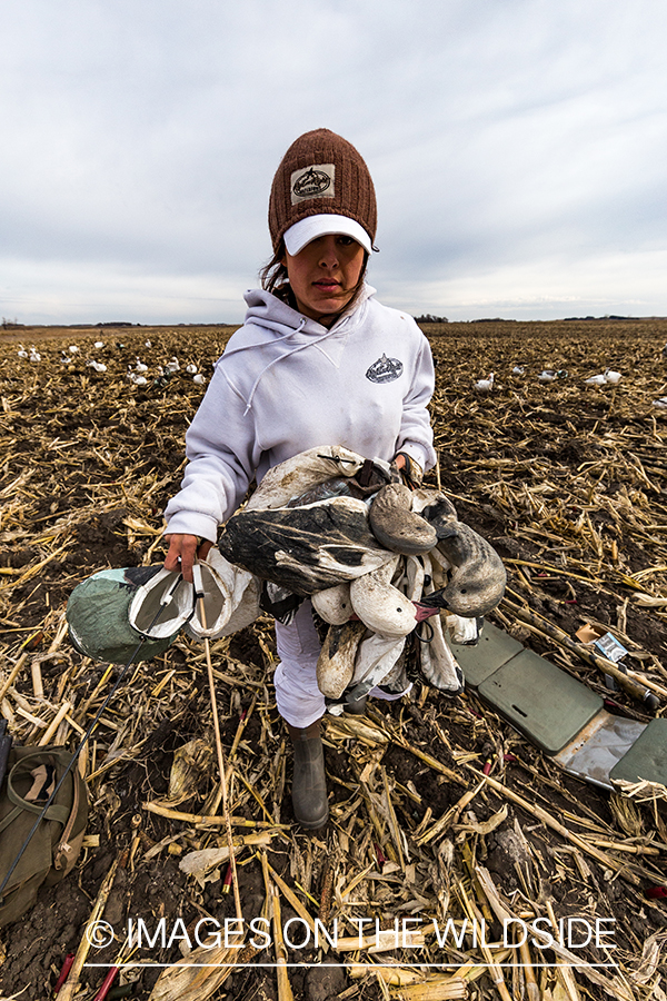 Hunter packing up after day of goose hunting.
