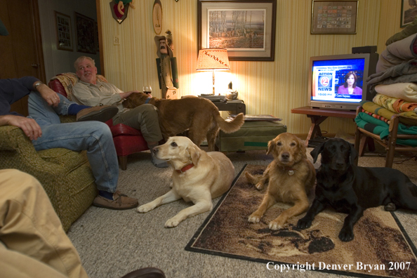 Upland game bird hunters lounging in living room with dogs