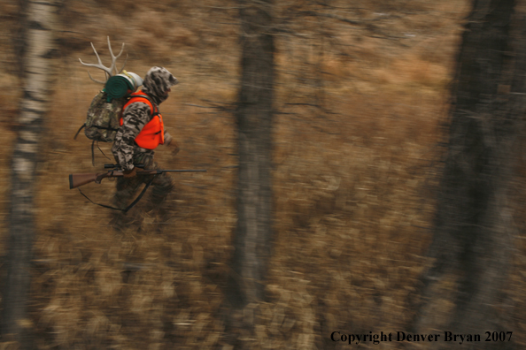 Mule deer hunter in field.