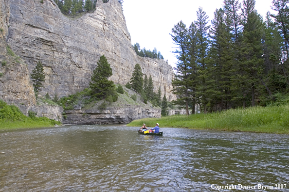 Flyfisherman on Smith River.