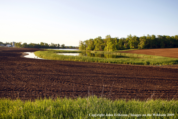 Wetlands near crop fields