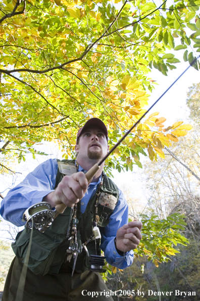 Flyfisherman on the banks of a Pennsylvania spring creek.