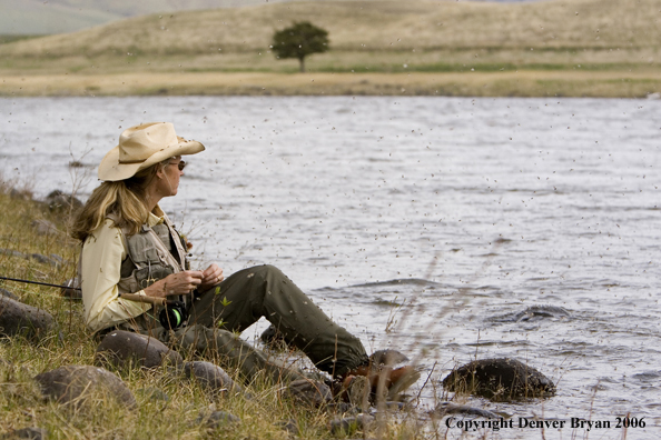 Woman flyfisher on the river in caddis fly hatch.  