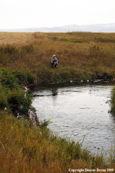 Flyfisherman fishing on stream