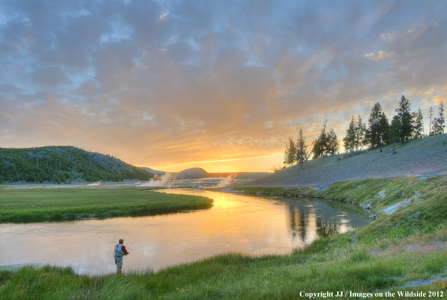 Flyfisherman on the Firehole River, Yellowstone National Park. 