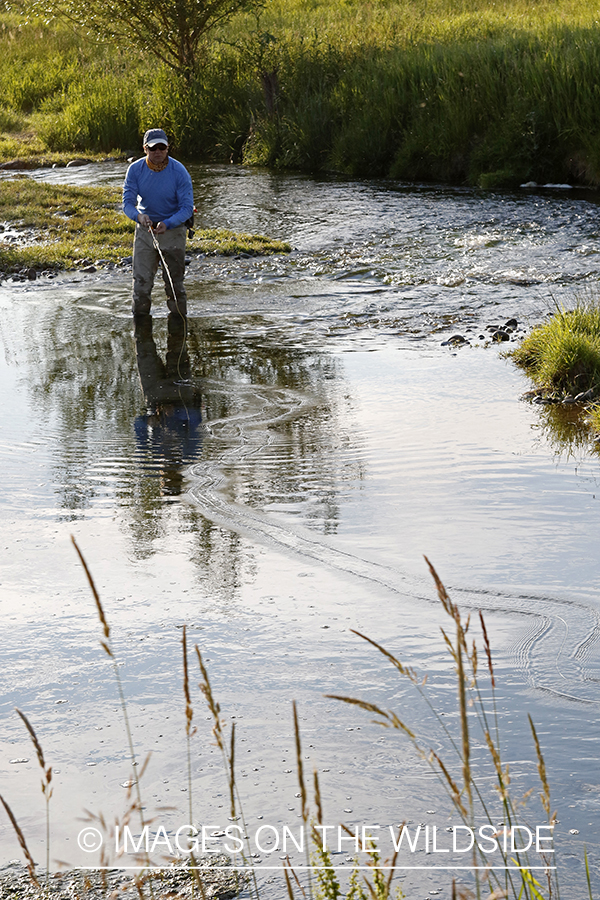 Fisherman casting line in stream.