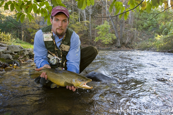 Close-up of nice brown trout.